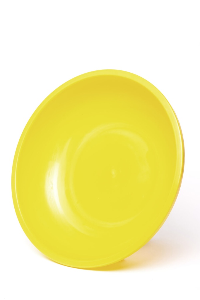 PALANGANA 9 Lts. "FLORIDA"