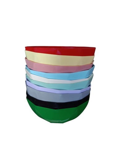 [880] ENSALADERA IGLU